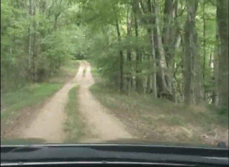 A drive down the Old Trace.